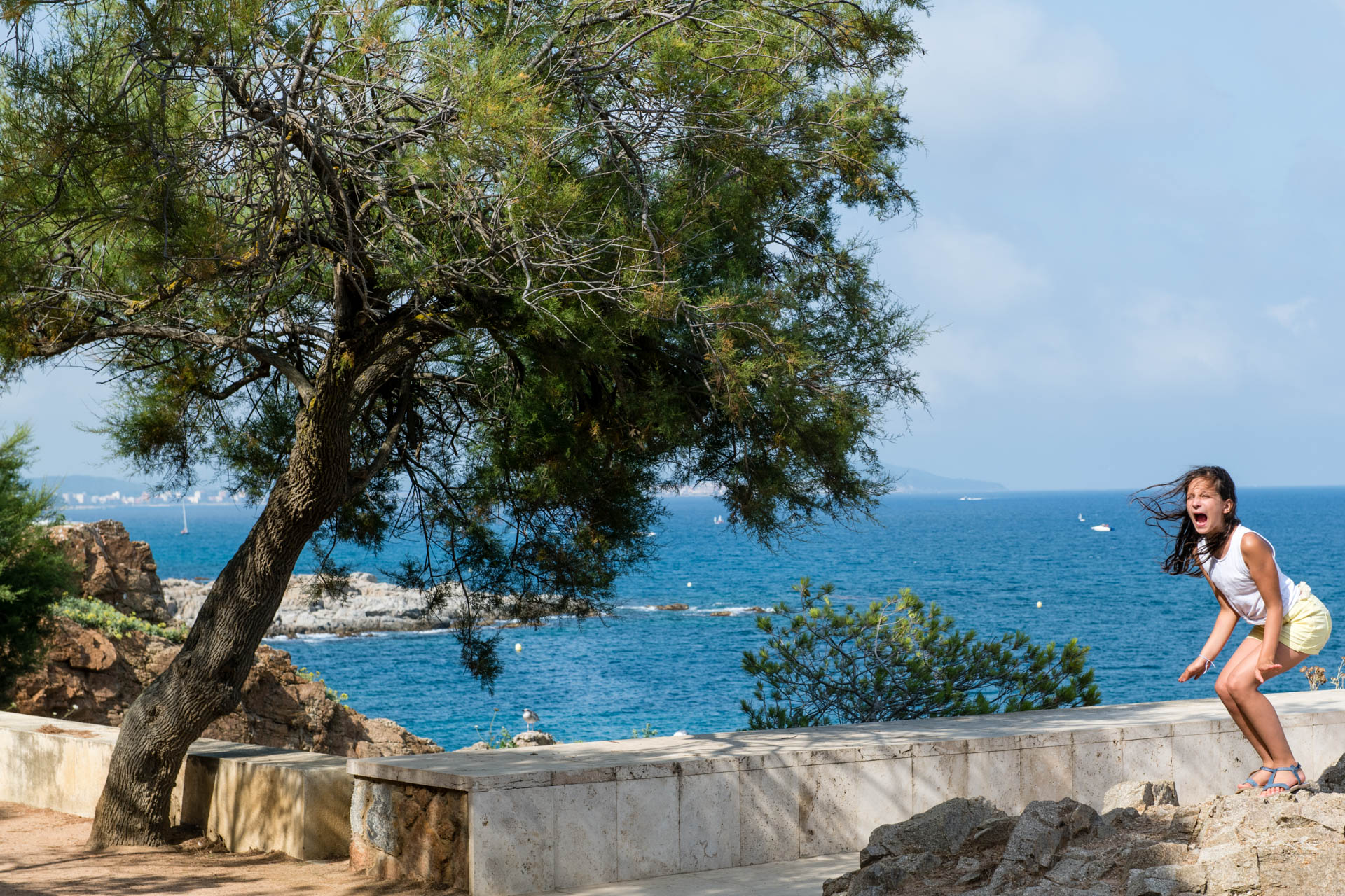 D850  18072018  DSC4990